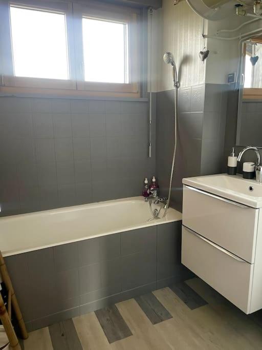 Au Pied Des Pistes Apartment