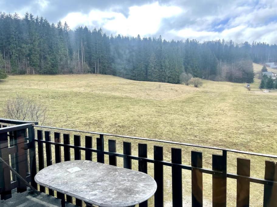 Au Pied Des Pistes Les Fourgs